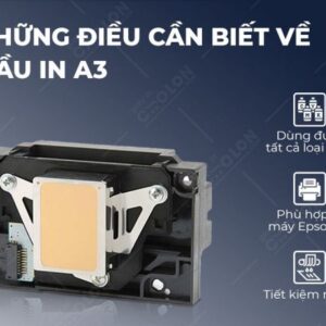 Đầu in máy in màu Epson A3