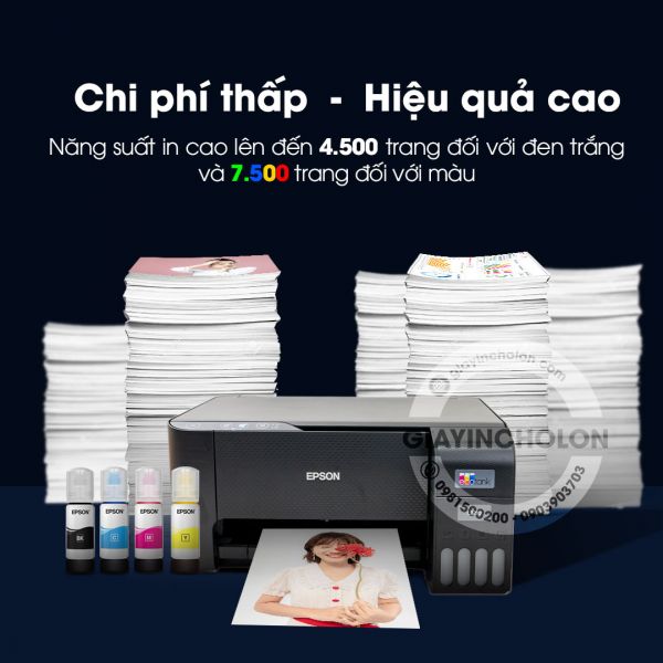 Máy in màu đa năng Epson L3210